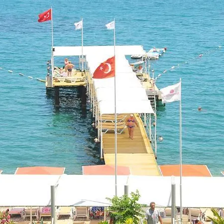 Golden Lotus ケメル